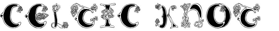 Celtic Knot