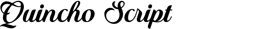 Quincho Script