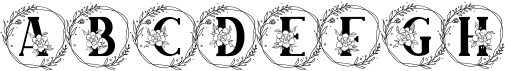 preview image of the Adenium Monogram font