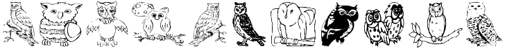preview image of the AEZ Owls for Traci font