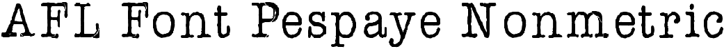 preview image of the AFL Font Pespaye Nonmetric font