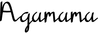 preview image of the Agamama font