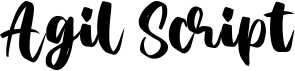 preview image of the Agil Script font
