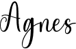 preview image of the Agnes font