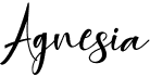 preview image of the Agnesia font