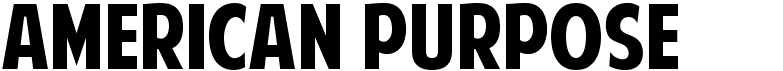 preview image of the American Purpose font