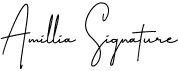preview image of the Amillia Signature font