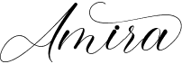preview image of the Amira font
