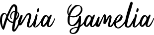 preview image of the Ania Gamelia font