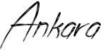 preview image of the Ankara font