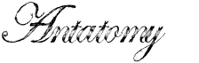 preview image of the Antatomy font