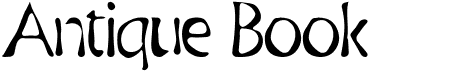 preview image of the Antique Book font