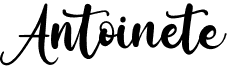 preview image of the Antoinete font