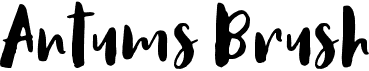 preview image of the Antums Brush font