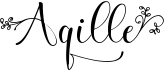 preview image of the Aqille font