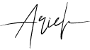 preview image of the Ariel Script font