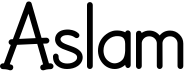 preview image of the Aslam font