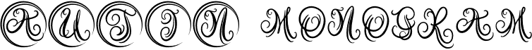 preview image of the Austy Monogram font