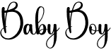 preview image of the Baby Boy font