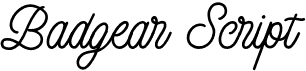 preview image of the Badgear Script font