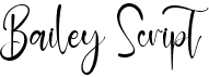 preview image of the Bailey Script font