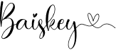preview image of the Baiskey font