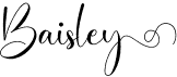 preview image of the Baisley font