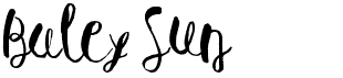 preview image of the Baley Sun font