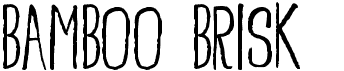preview image of the Bamboo Brisk font