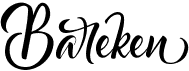preview image of the Bareken font