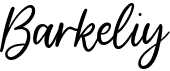 preview image of the Barkeliy font