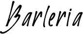 preview image of the Barleria font