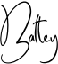 preview image of the Batley font