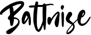 preview image of the Battnise font
