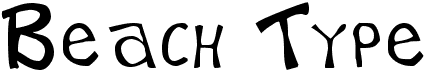 preview image of the Beach Type font