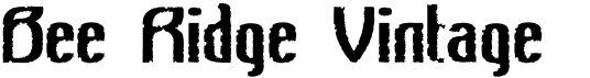 preview image of the Bee Ridge Vintage font