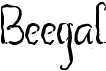 preview image of the Beegal font