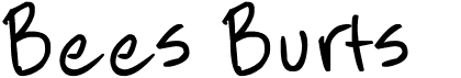 preview image of the Bees Burts font