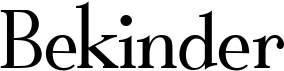 preview image of the Bekinder font