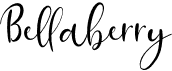 preview image of the Bellaberry font