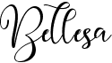 preview image of the Bellesa font