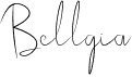 preview image of the Bellgia font