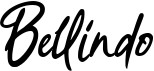 preview image of the Bellindo font