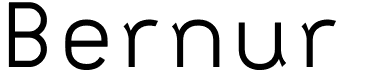 preview image of the Bernur font