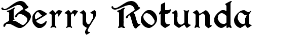 preview image of the Berry Rotunda font