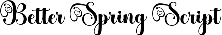 preview image of the Better Spring Script font