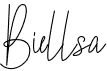 preview image of the Biellsa font