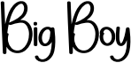 preview image of the Big Boy font