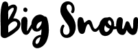 preview image of the Big Snow font