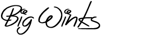 preview image of the Big Winks font